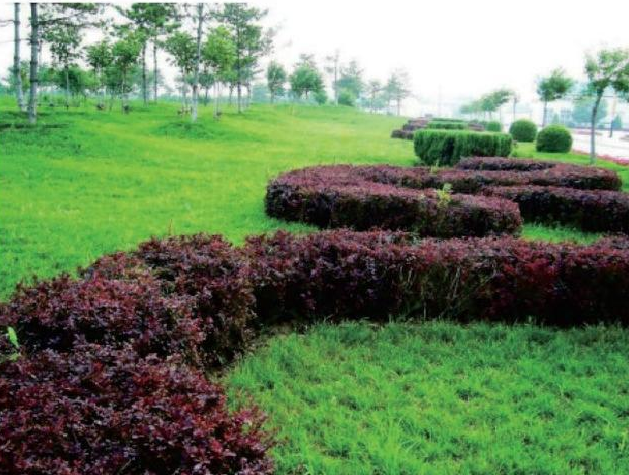  北京高端制造业(房山)基地管理委员会研究院南侧绿化提升工程