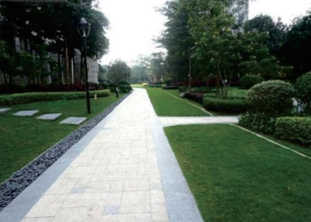 团结湖公园2018年度园林 绿化养护