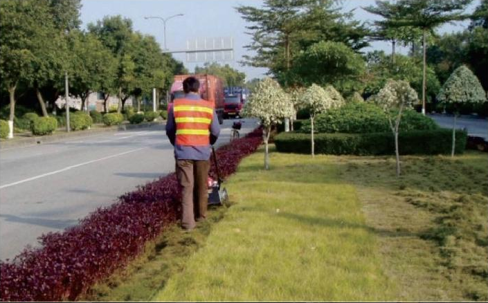  北京市朝阳区2018年度园林绿化养护
