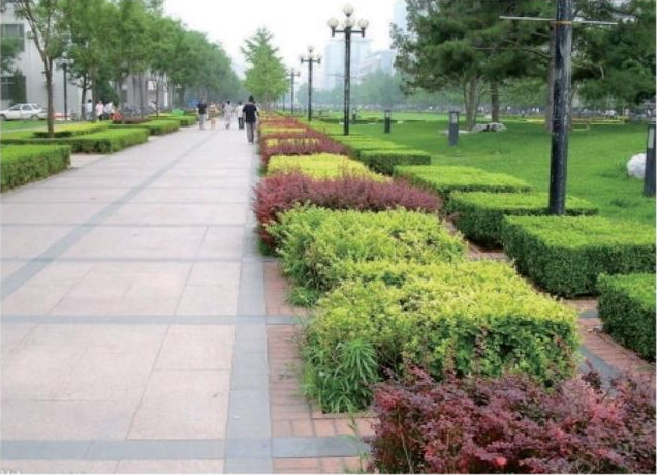  房山区窦店公园绿化提升工程